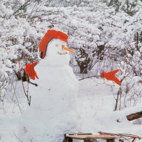 Stranger in the Woods: A Photographic Fantasy ~ Signed by Authors! - Picture 8 of 16